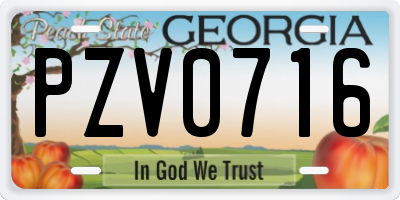 GA license plate PZV0716
