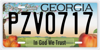 GA license plate PZV0717