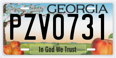 GA license plate PZV0731