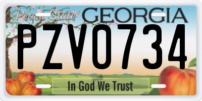 GA license plate PZV0734