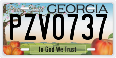 GA license plate PZV0737