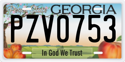 GA license plate PZV0753