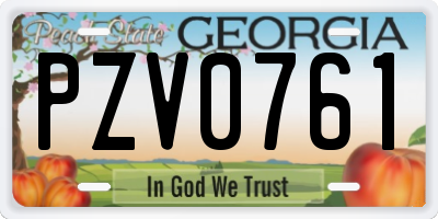 GA license plate PZV0761
