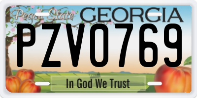 GA license plate PZV0769