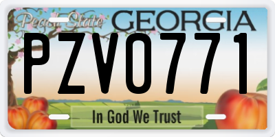 GA license plate PZV0771