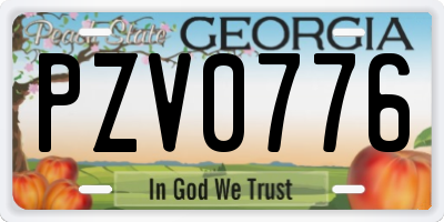 GA license plate PZV0776