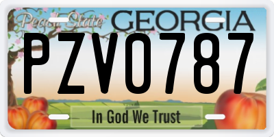GA license plate PZV0787