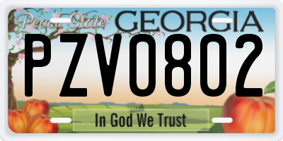 GA license plate PZV0802