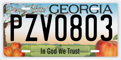 GA license plate PZV0803
