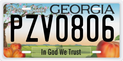 GA license plate PZV0806