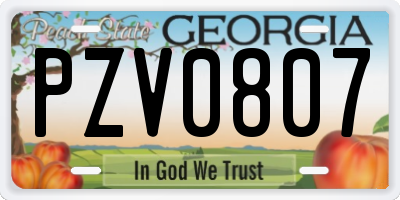 GA license plate PZV0807