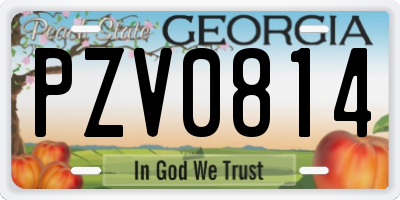 GA license plate PZV0814