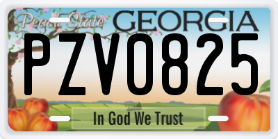 GA license plate PZV0825