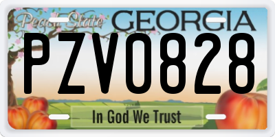 GA license plate PZV0828
