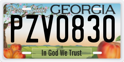 GA license plate PZV0830