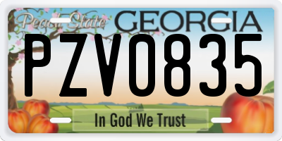 GA license plate PZV0835