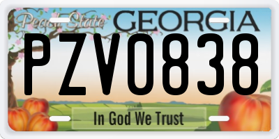 GA license plate PZV0838