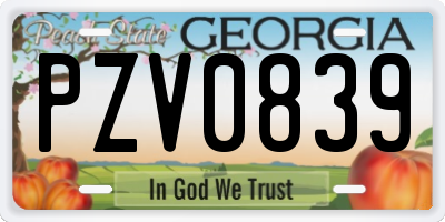 GA license plate PZV0839