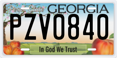 GA license plate PZV0840