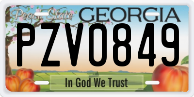 GA license plate PZV0849