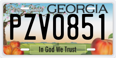 GA license plate PZV0851