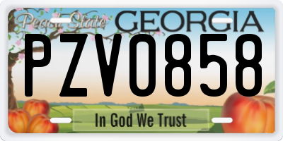 GA license plate PZV0858