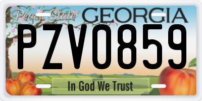 GA license plate PZV0859