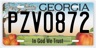 GA license plate PZV0872