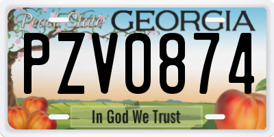 GA license plate PZV0874