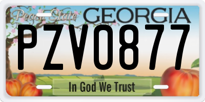 GA license plate PZV0877