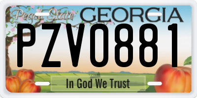 GA license plate PZV0881