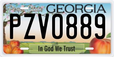 GA license plate PZV0889