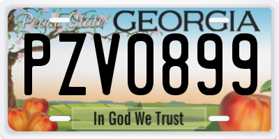 GA license plate PZV0899