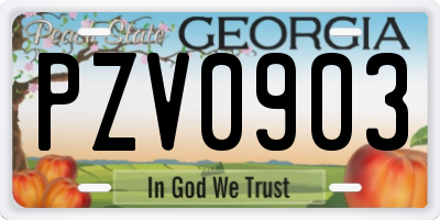 GA license plate PZV0903