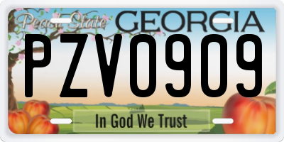 GA license plate PZV0909