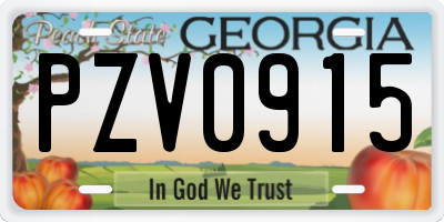 GA license plate PZV0915