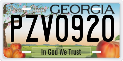 GA license plate PZV0920