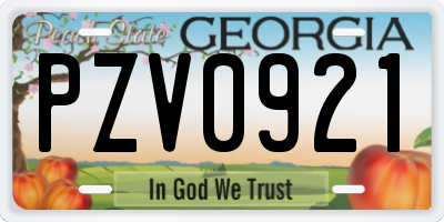 GA license plate PZV0921