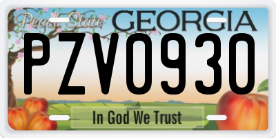 GA license plate PZV0930