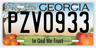 GA license plate PZV0933