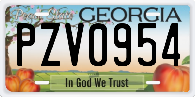GA license plate PZV0954