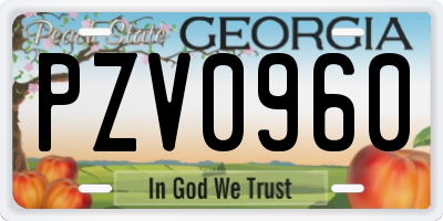 GA license plate PZV0960