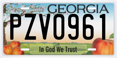GA license plate PZV0961