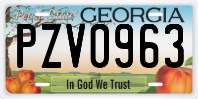 GA license plate PZV0963