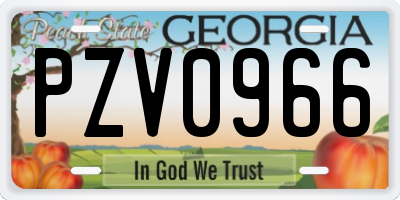 GA license plate PZV0966