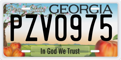GA license plate PZV0975