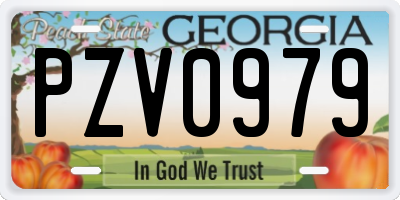 GA license plate PZV0979