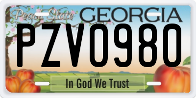 GA license plate PZV0980