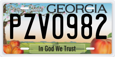GA license plate PZV0982