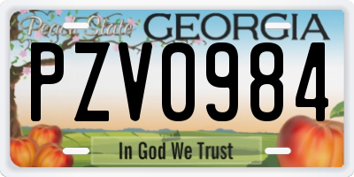 GA license plate PZV0984